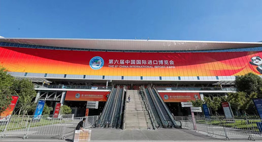 Huaruo Industrial Group participated in the 6th China International Import Expo